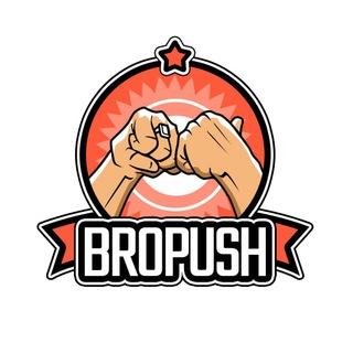 BroPush — push-notification network