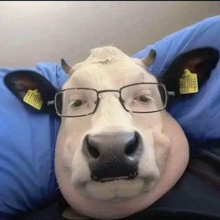 @bugagaag