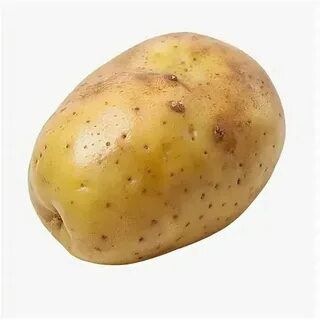 @bulba998