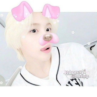 @bunnly