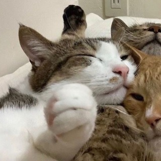 @BurmoldaWW