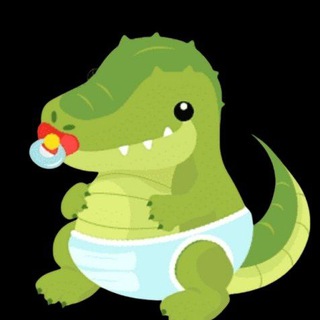 Baby crocodile