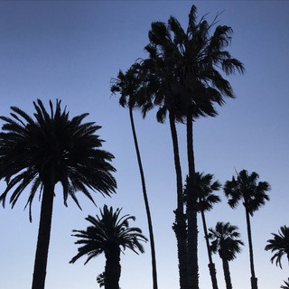 @californianborsch