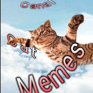 @Canal_Cat_Memes