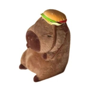 @capibaratheme