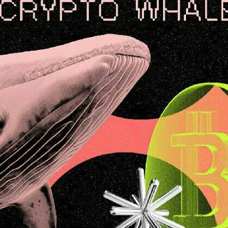 Capital Whales