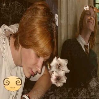 @cassie_or