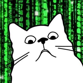 Кот программиста | IT юмор