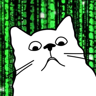 @cat_prog