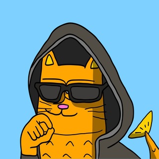 @catfishsolana