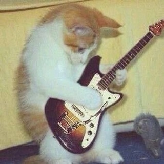 @CatFood_8642
