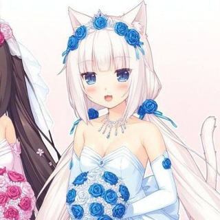 @catgirlforyou