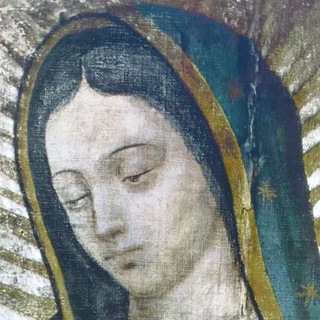 ¿Por qué soy católico?