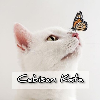 @CebisanKata