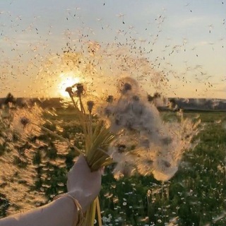 ~ДиШкА~