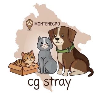 @cg_stray
