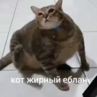 @Chari_1995_77