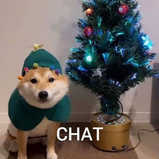 @chat_irl