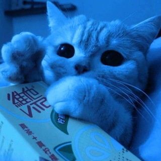 @chatikneadekvat
