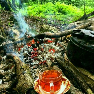 چای قند پهلو