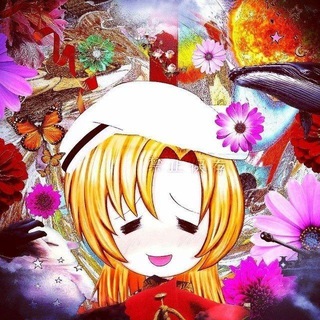@chifir4