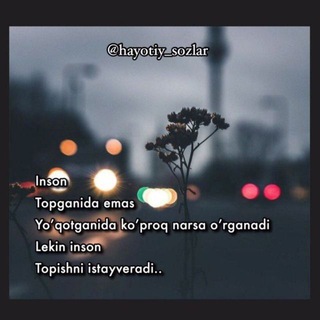 @Chopar_admin