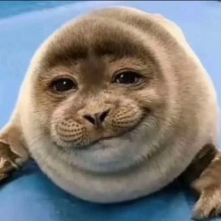 @ChubbyPuppyy