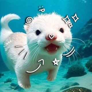 @ciss_10