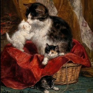 @clearskyL