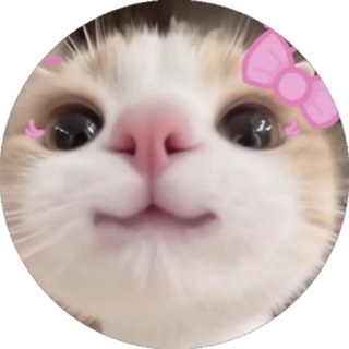 @cleverclovers