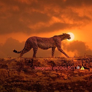 @cocls1