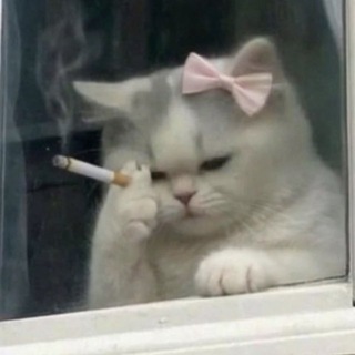 @coldcic