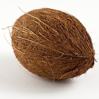@coolcoconut
