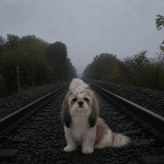 @Cora_lol