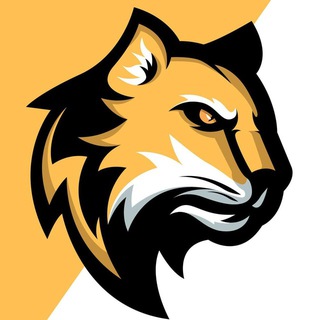 @CougarVPN_bot