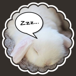 @cr3am_info