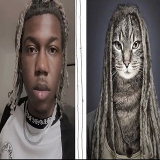 @Crypto_obito