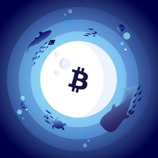 @CryptoAquarium
