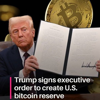 Crypto Expert& Marketing Master