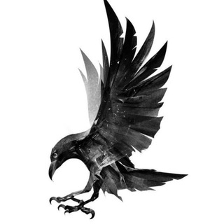 Crypto Raven &trade