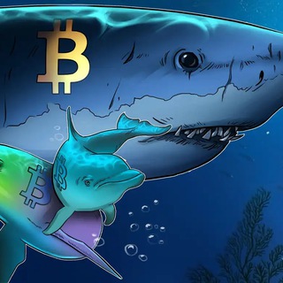 @cryptosharkspump