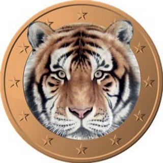 CryptoTigers🐅