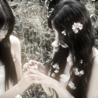 @cucumber_ya