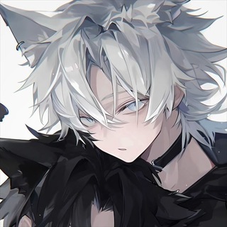 @Cyno1