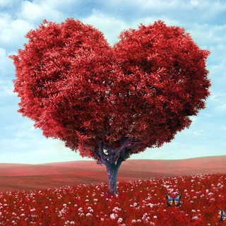 Кипр. Самое интересное