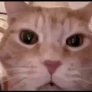 @D2Q2Q