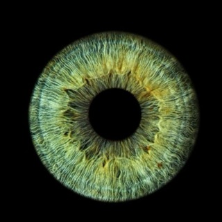 @da13rya25