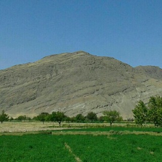 شیری‌دخت