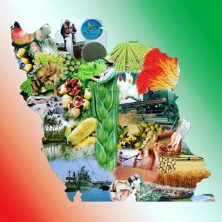 دانش کشاورز (مهندس زارع 