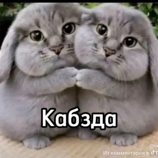 @dank_vano
